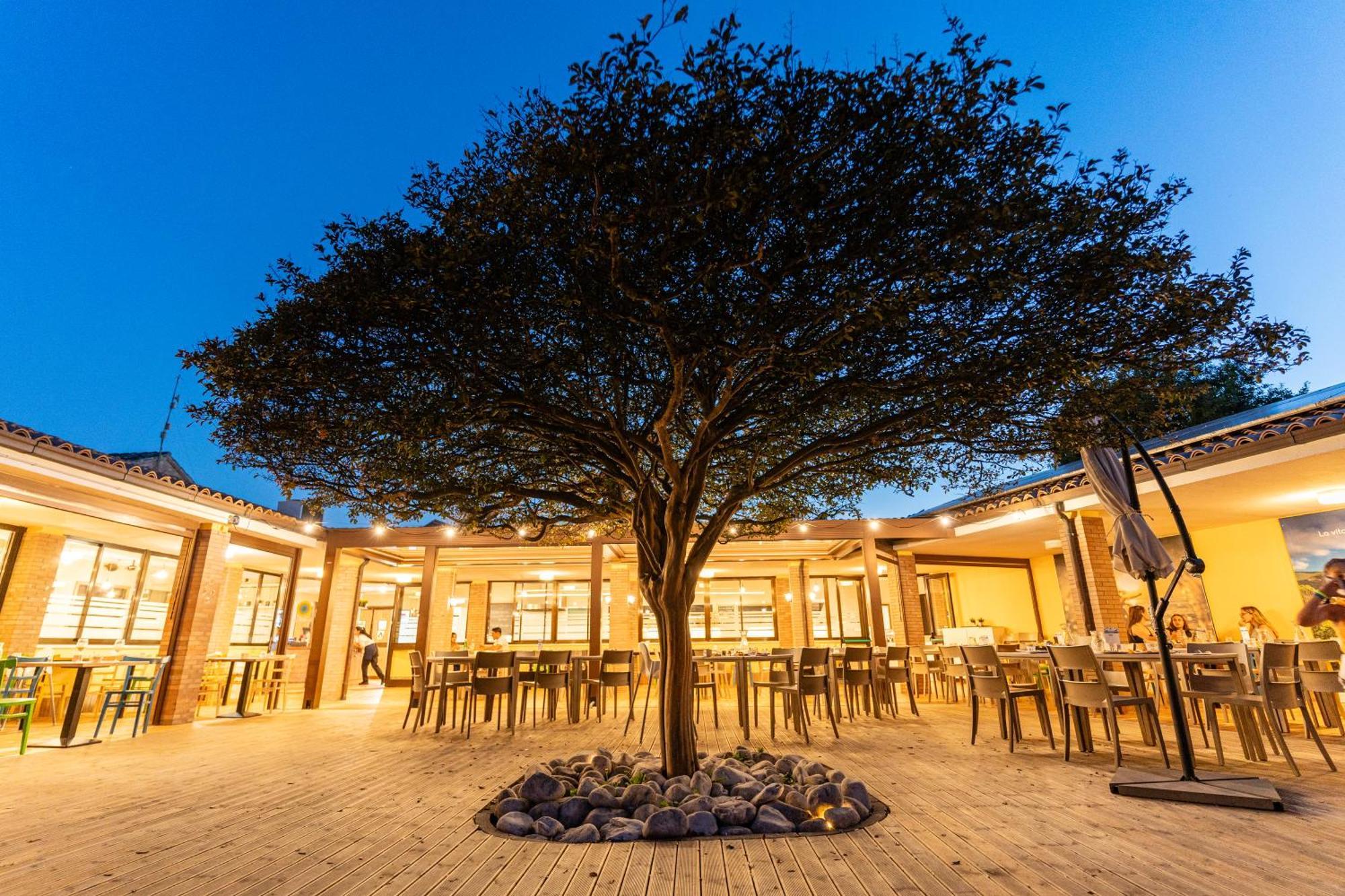 Club Del Sole La Risacca Family Collection Hotel ปอร์โต ซันเตลปีดิโอ ภายนอก รูปภาพ