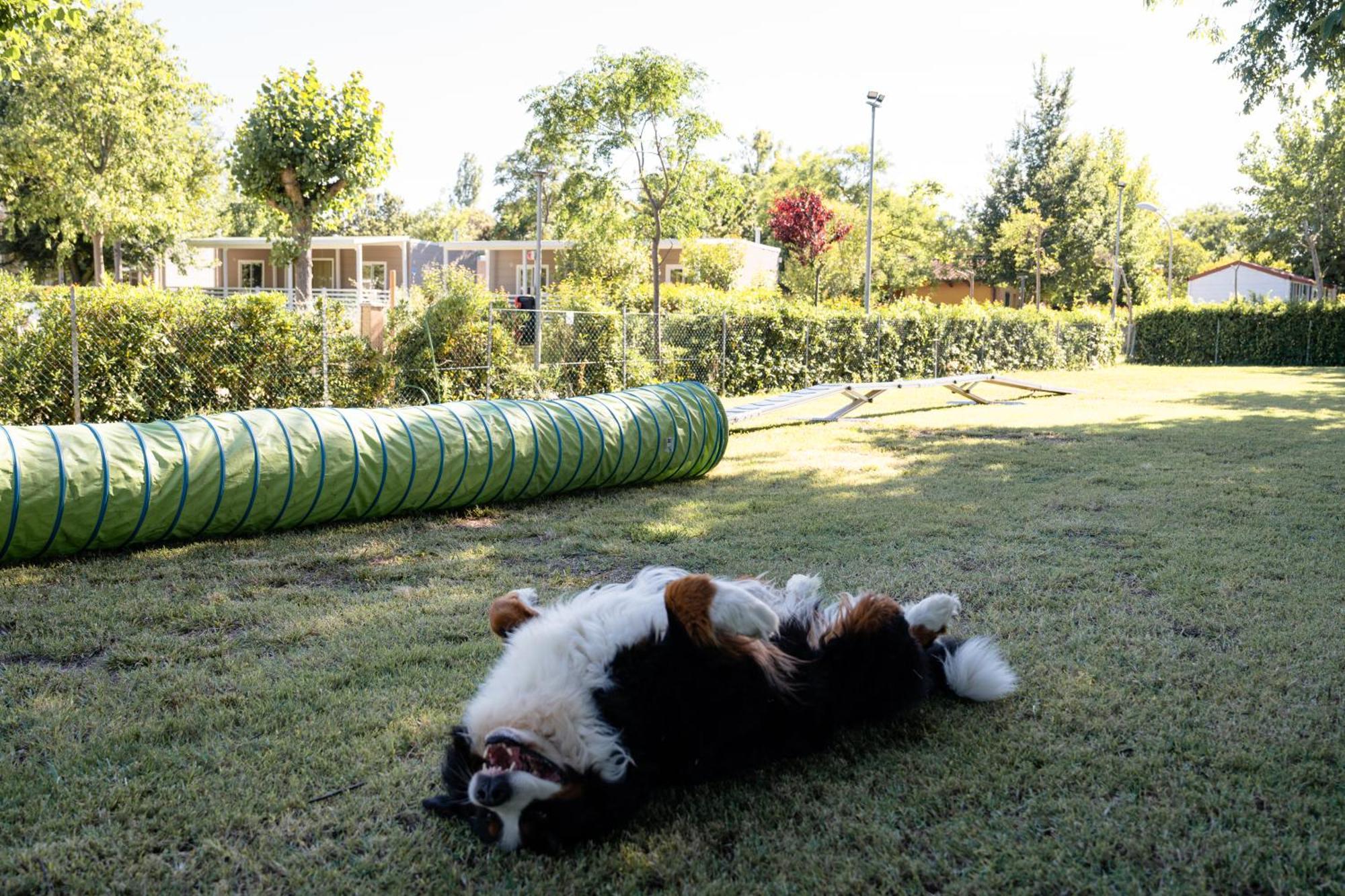 Club Del Sole La Risacca Family Collection Hotel ปอร์โต ซันเตลปีดิโอ ภายนอก รูปภาพ